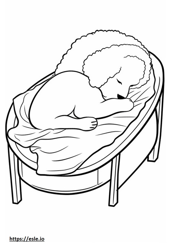 Bichon Frise Sleeping coloring page