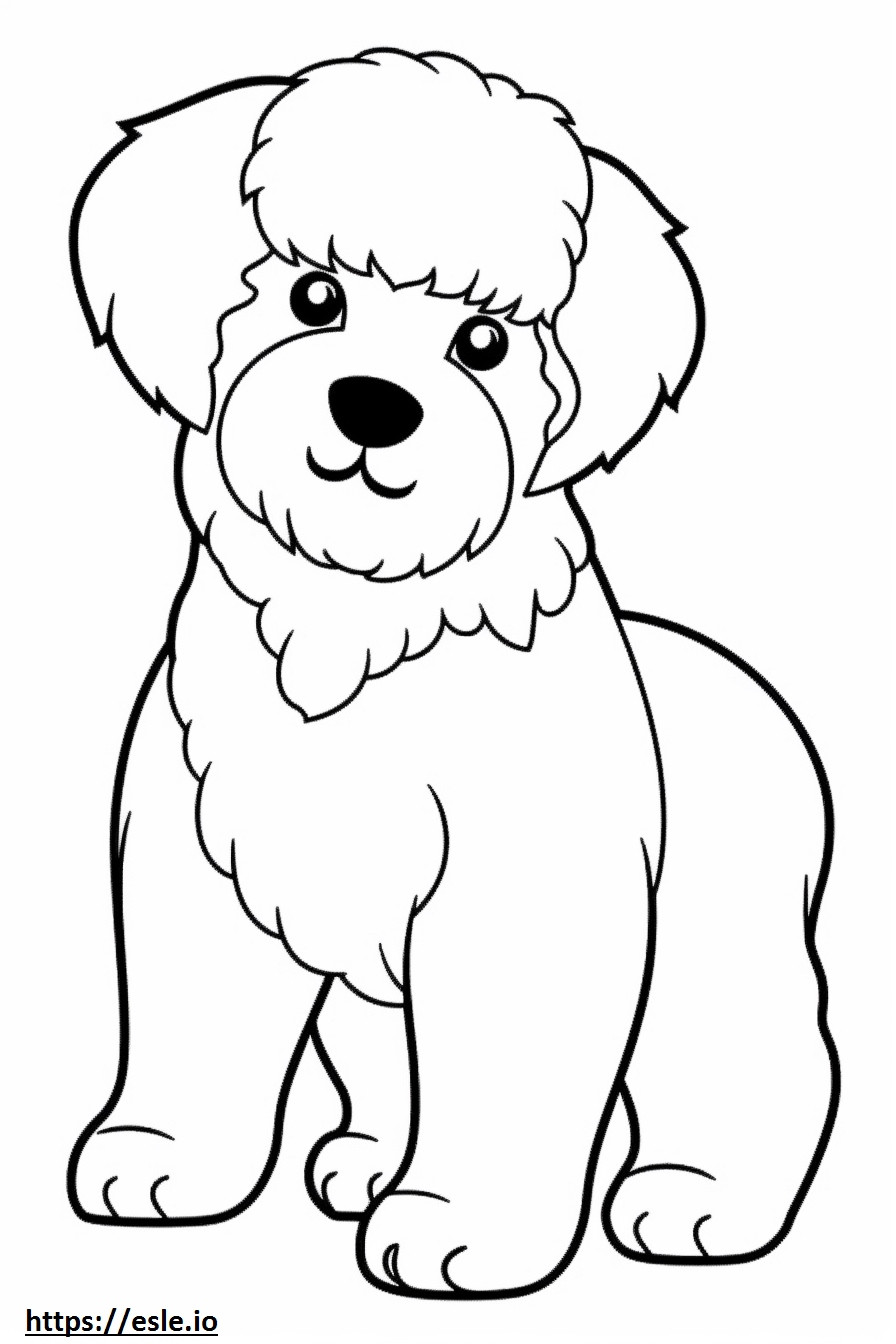 Bichon Frise Playing coloring page