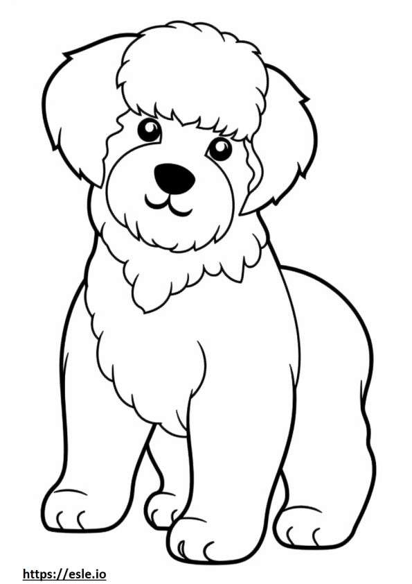 Bichon Frise Playing coloring page
