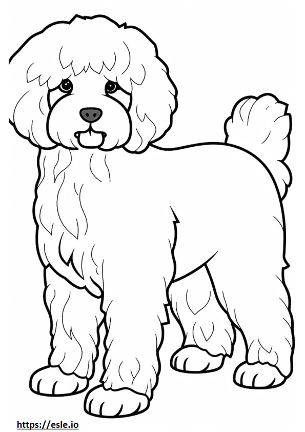 Bichpoo full body coloring page