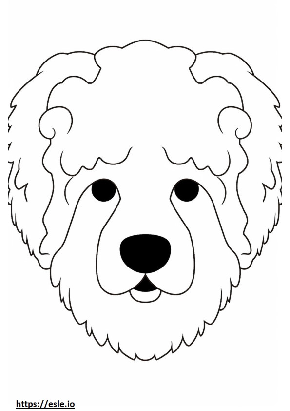 Bichpoo face coloring page