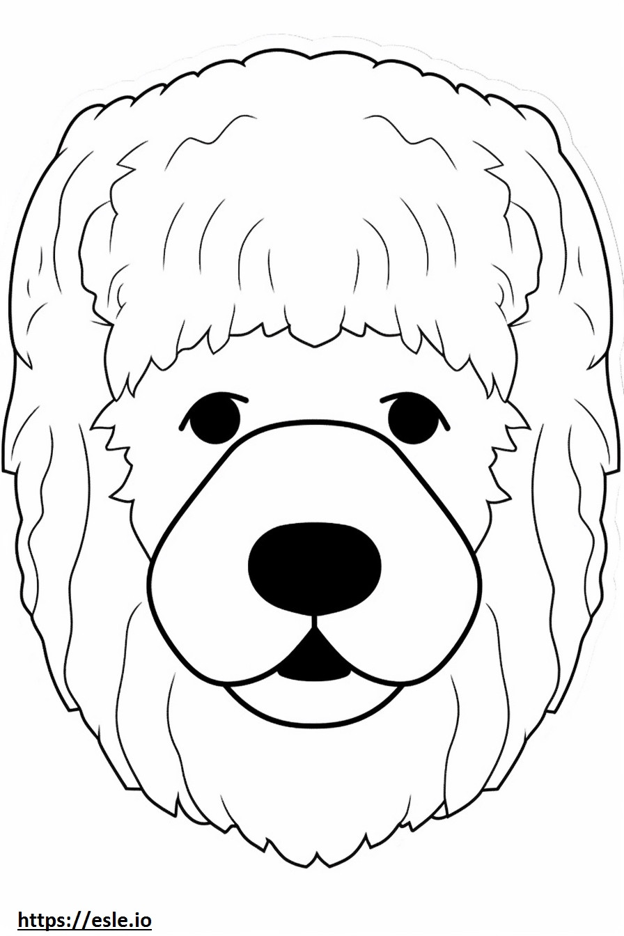 Bichpoo face coloring page