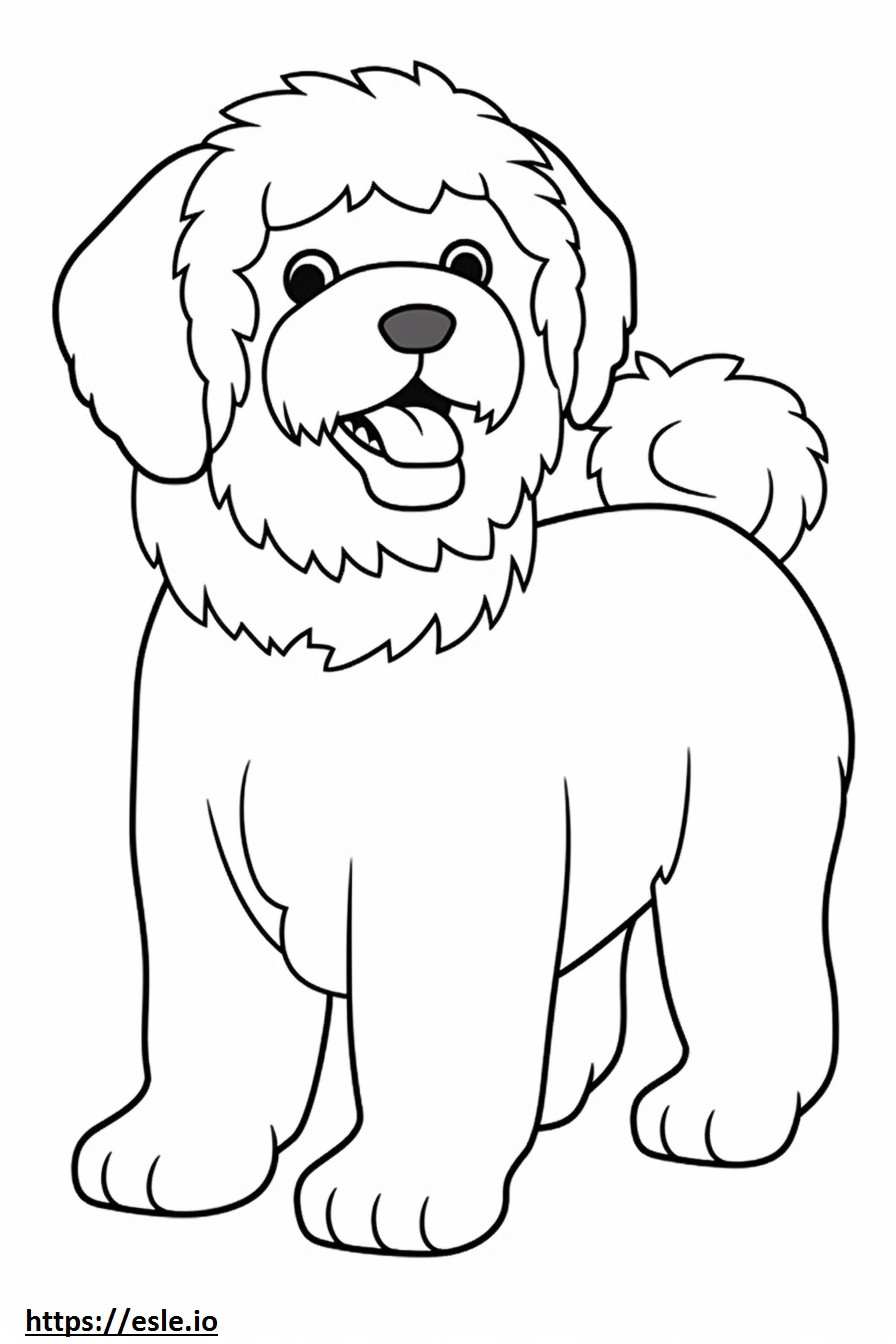 Bichpoo happy coloring page