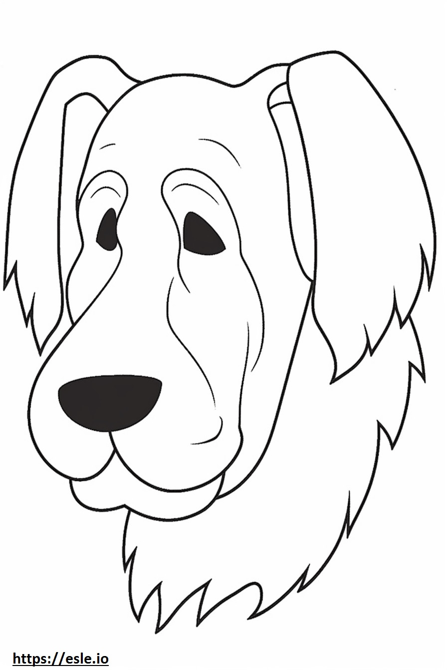 Biewer Terrier kasvot värityskuva