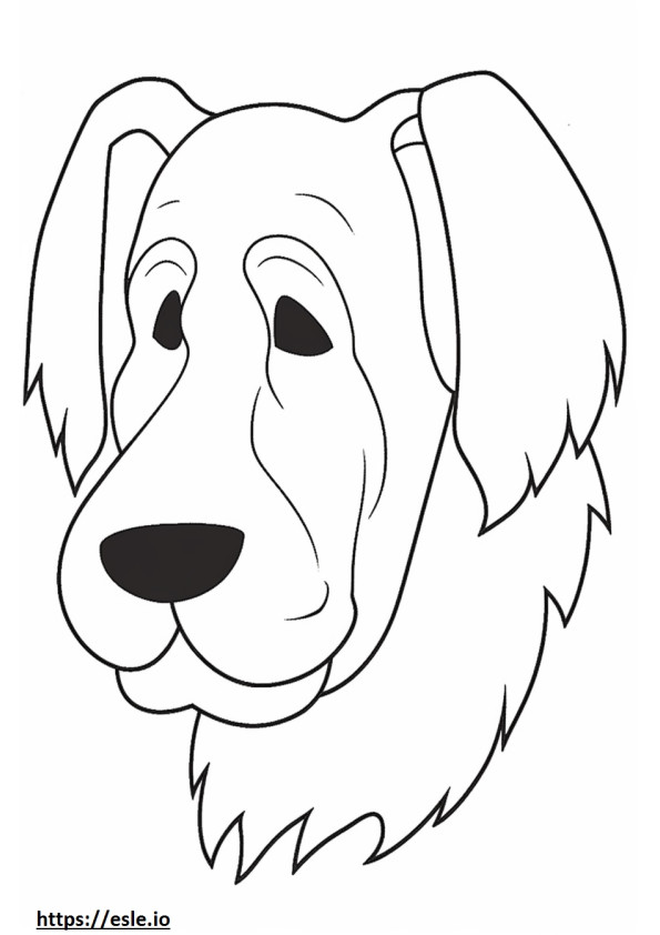 Biewer Terrier face coloring page