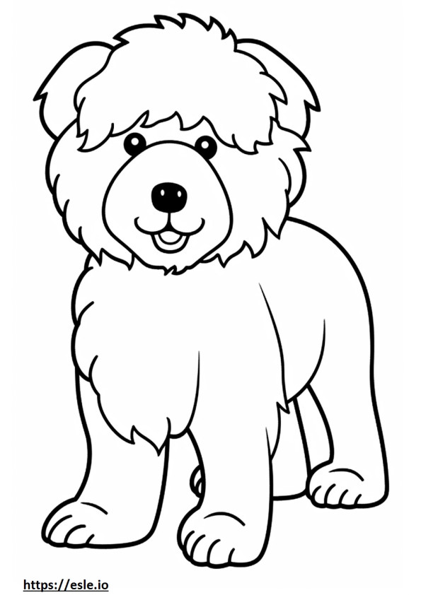 Bichpoo Friendly coloring page