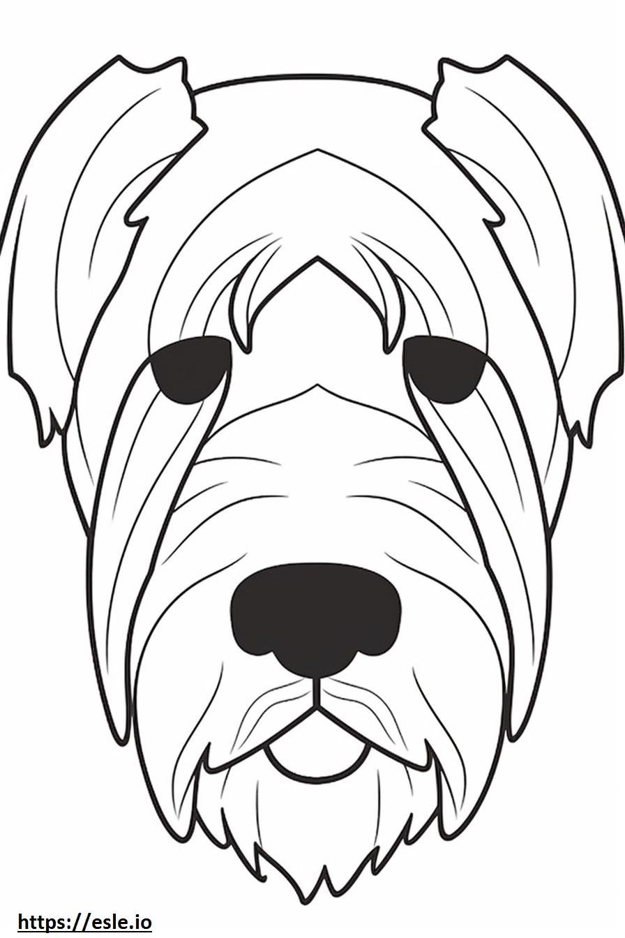 Biewer-Terrier-Gesicht ausmalbild
