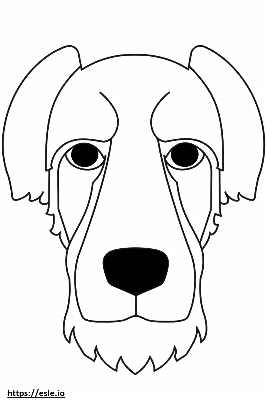 Cara de Biewer Terrier para colorear e imprimir