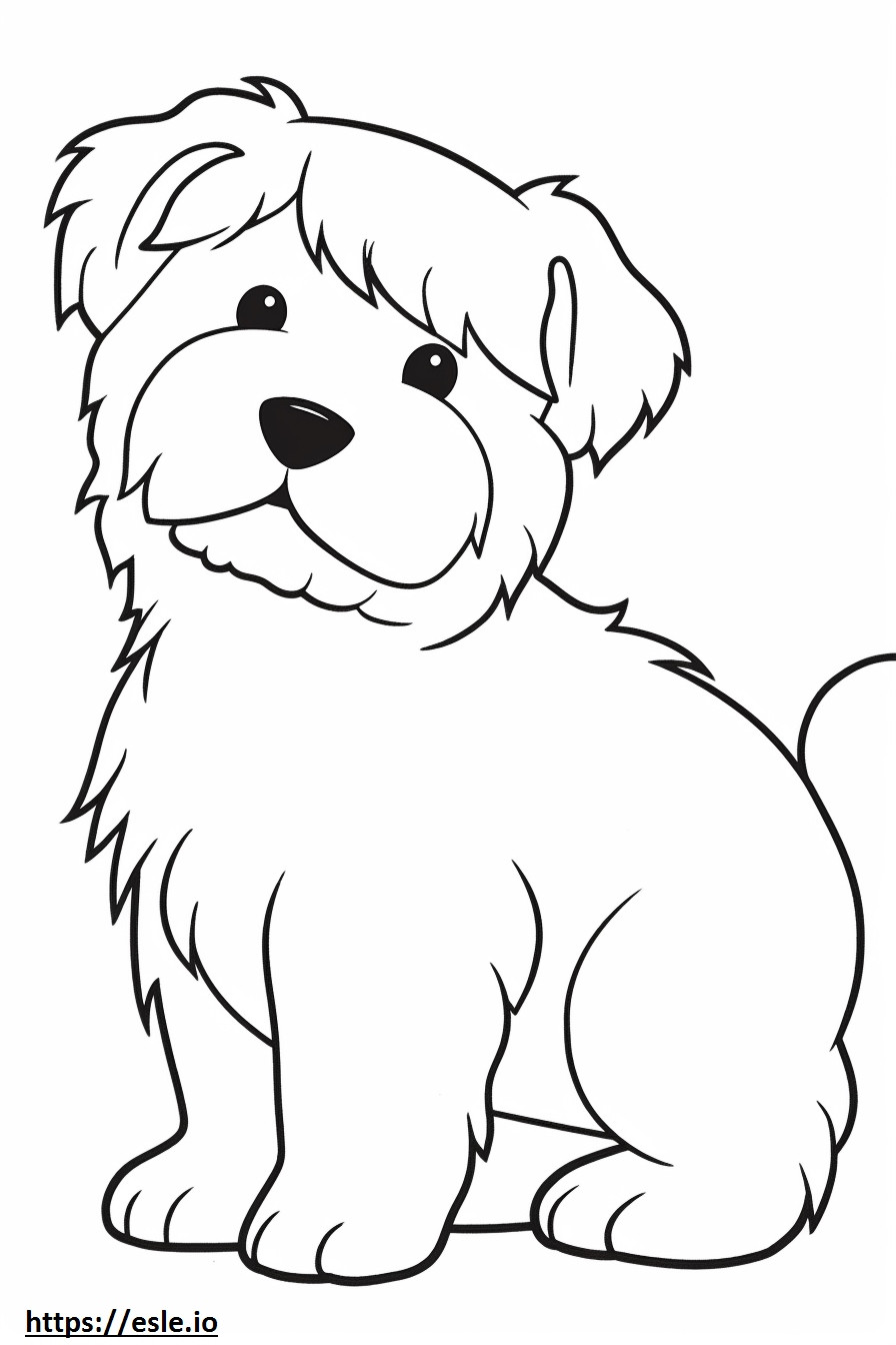 Biewer Terrier cucciolo da colorare
