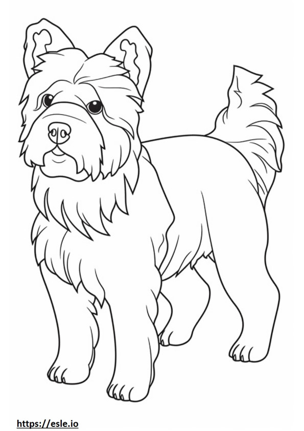 Biewer Terrier baby coloring page
