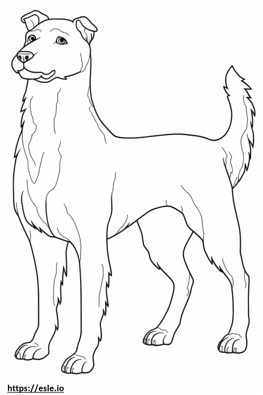 Biewer Terrier full body coloring page