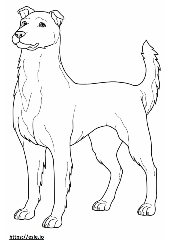 Biewer Terrier a corpo intero da colorare