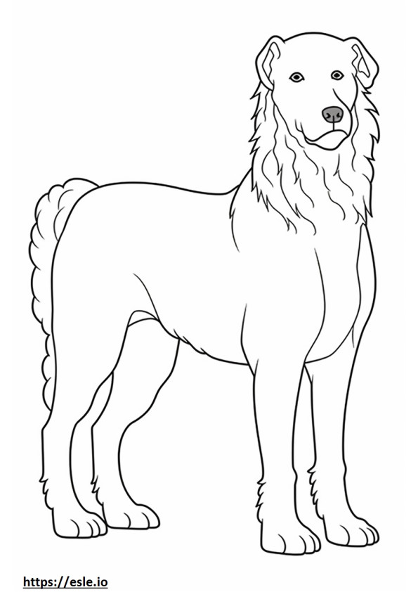 Biewer Terrier full body coloring page