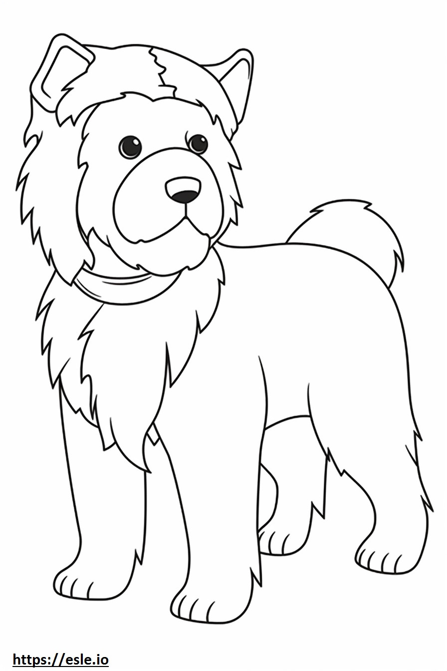 Biewer Terrier baby coloring page