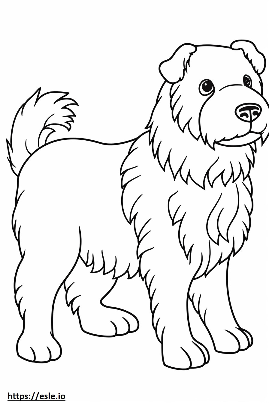 Biewer Terrier happy coloring page