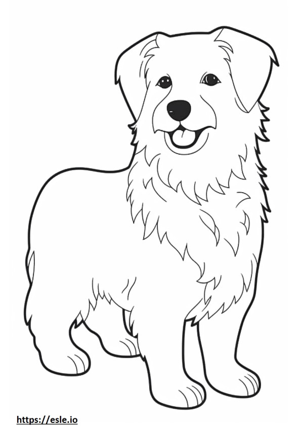 Biewer Terrier fofo para colorir