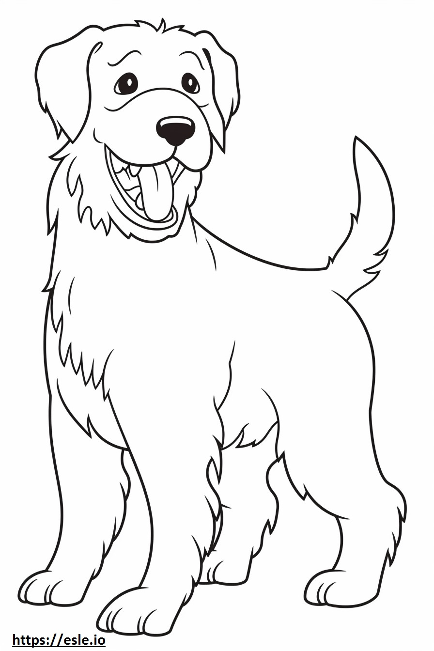 Biewer Terrier felice da colorare