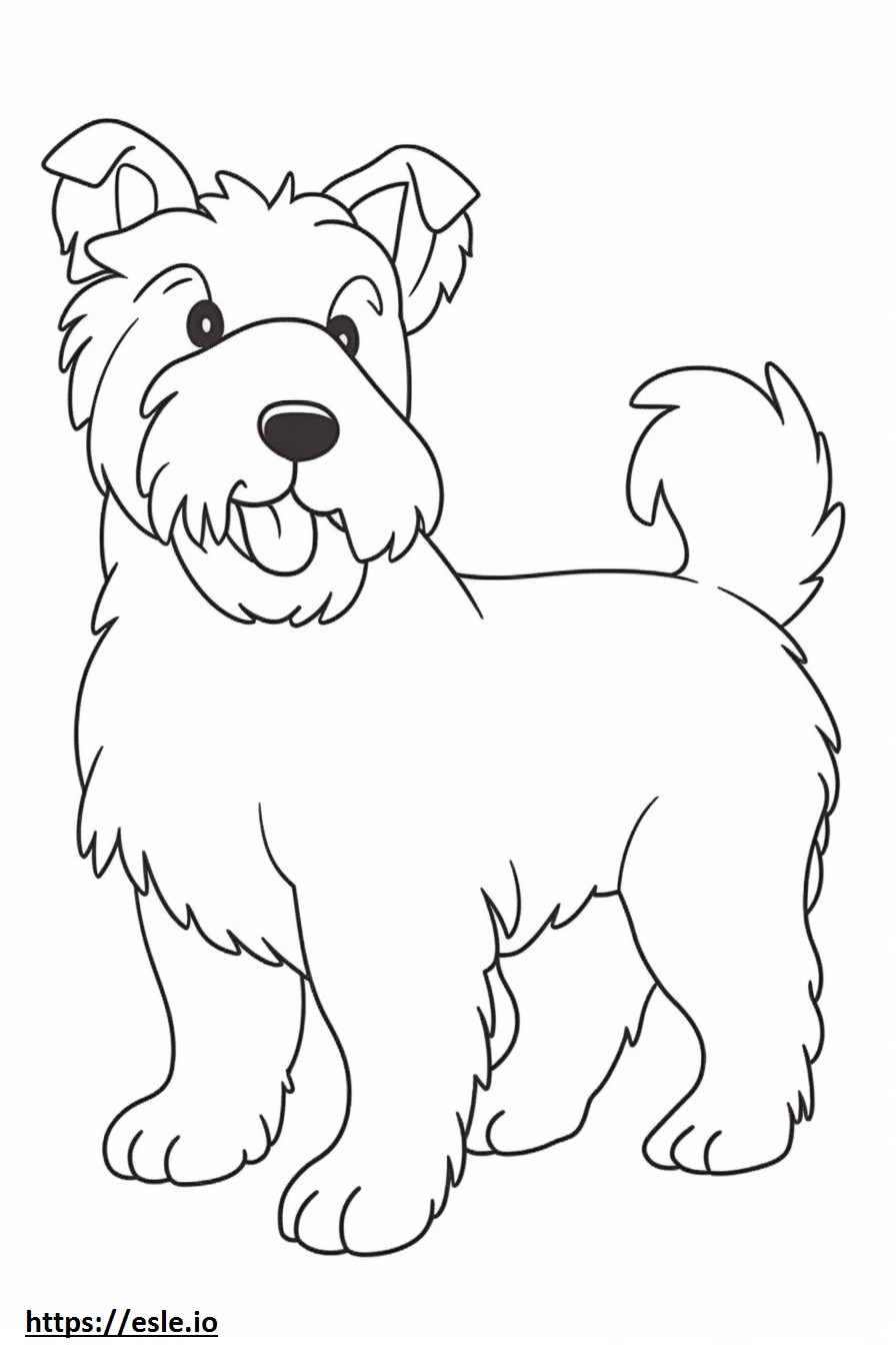 Biewer Terrier feliz para colorir