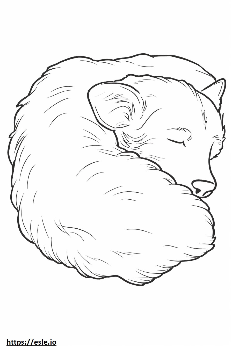 Biewer Terrier durmiendo para colorear e imprimir