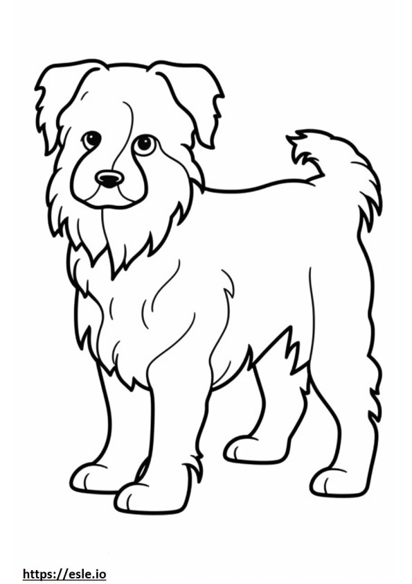 Biewer Terrier Playing coloring page