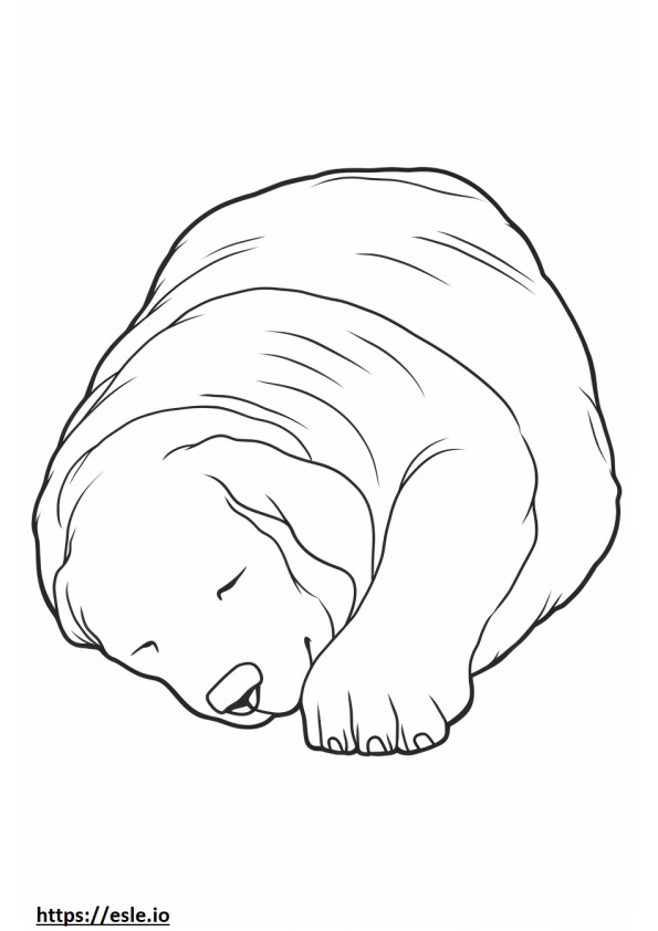 Coloriage Biewer Terrier Dormant à imprimer