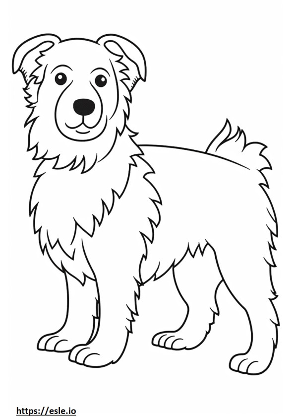 Biewer Terrier Amigável para colorir