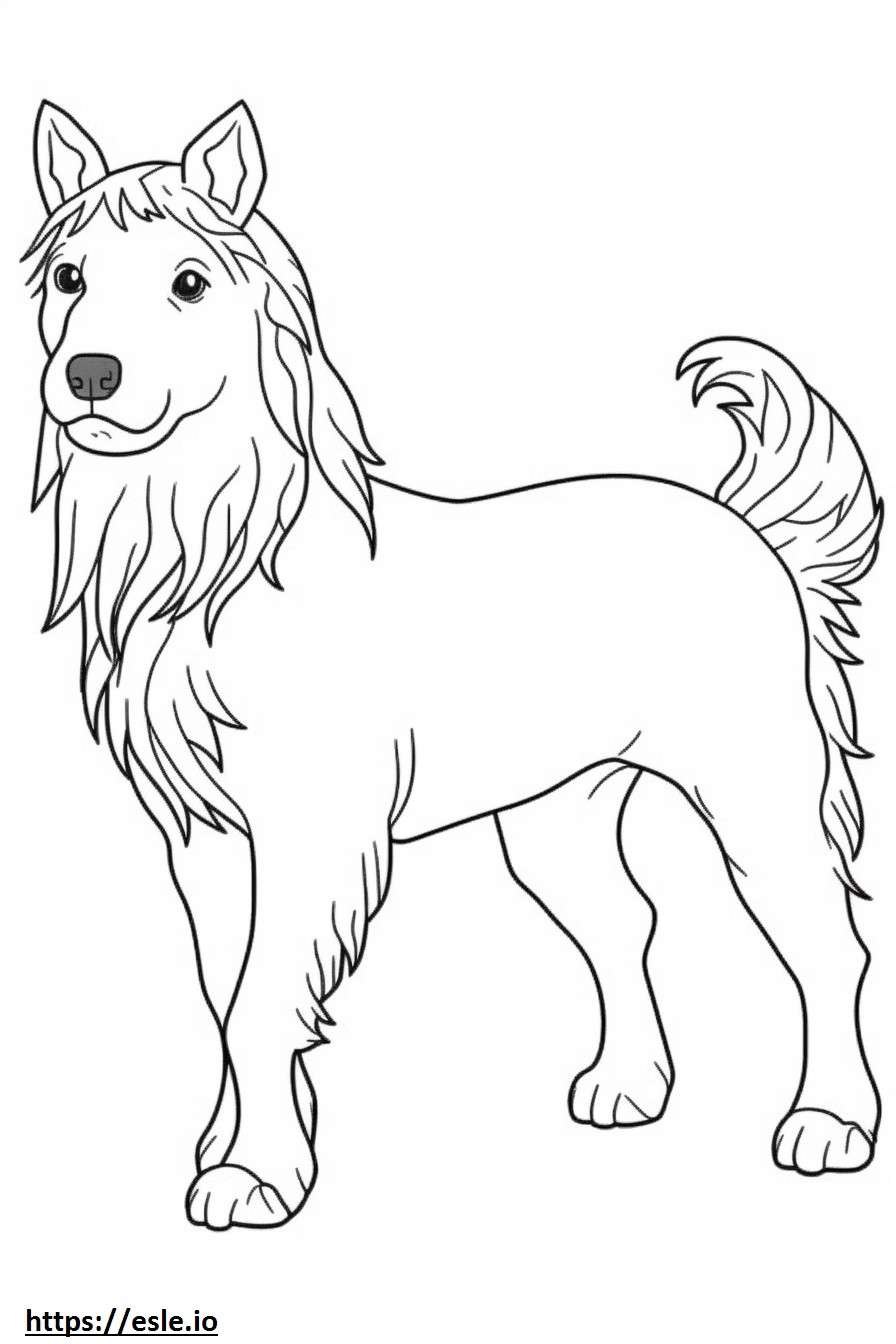 Biewer Terrier Amigável para colorir