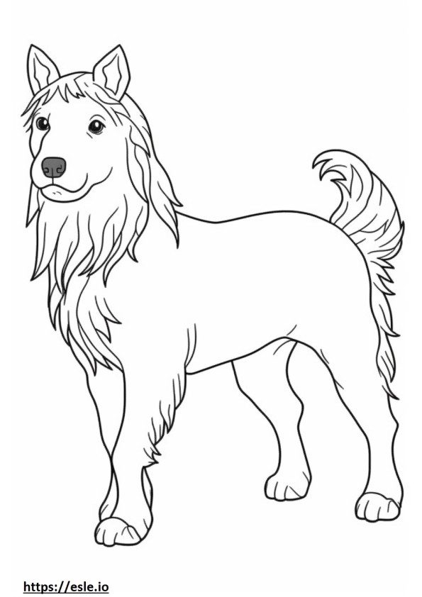 Apto para Biewer Terrier para colorear e imprimir