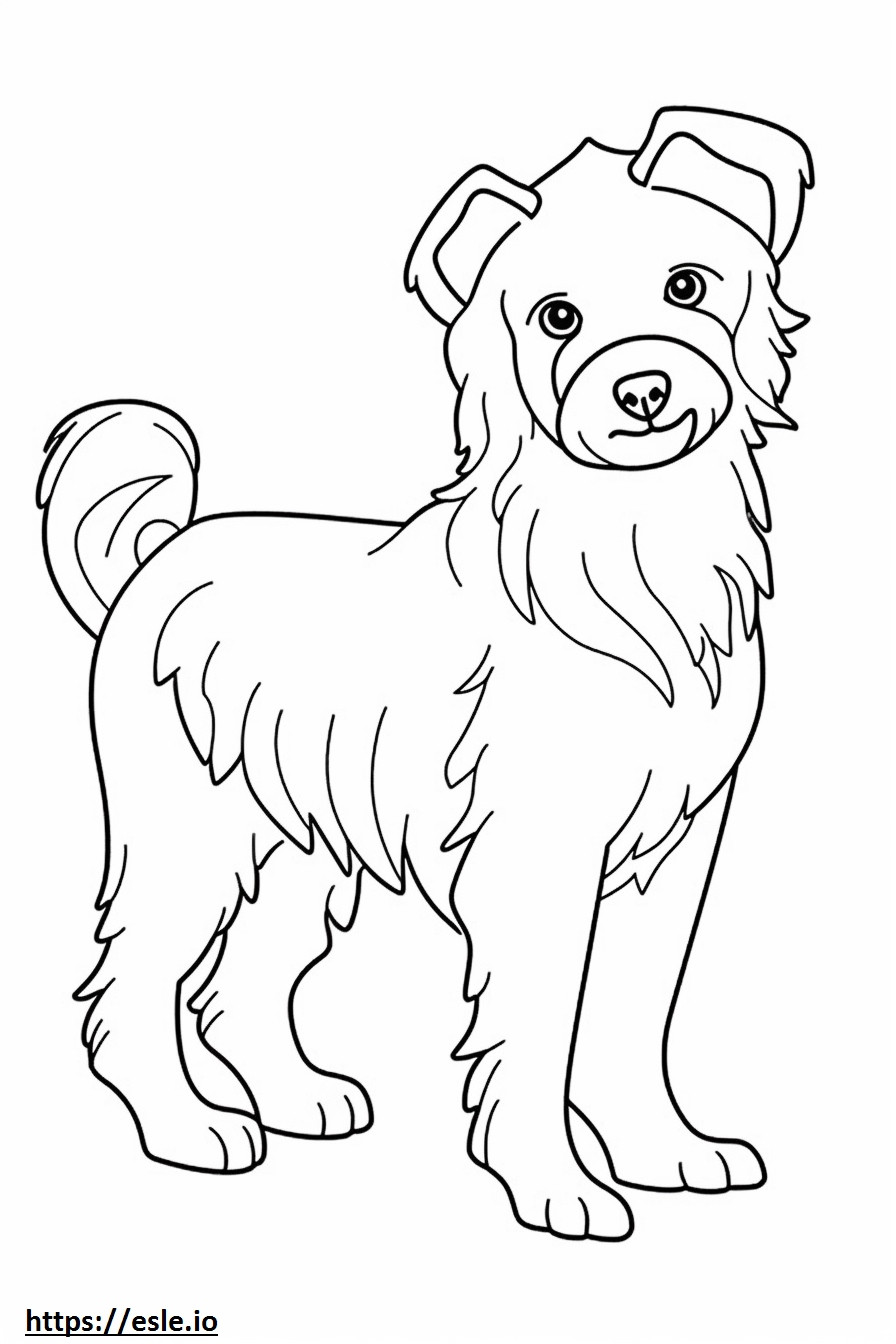 Biewer Terrier Friendly coloring page