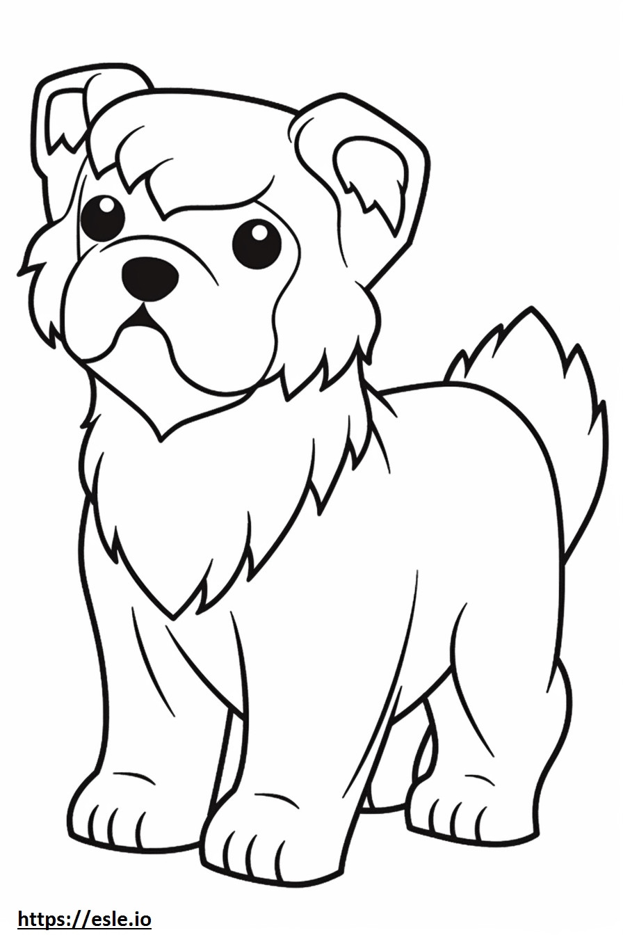 Biewer Terrier Kawaii para colorear e imprimir