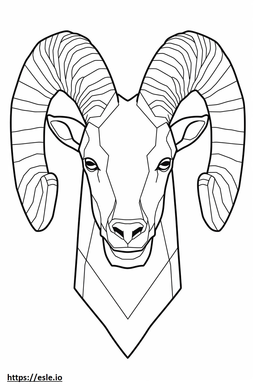 Bighorn Sheep face coloring page