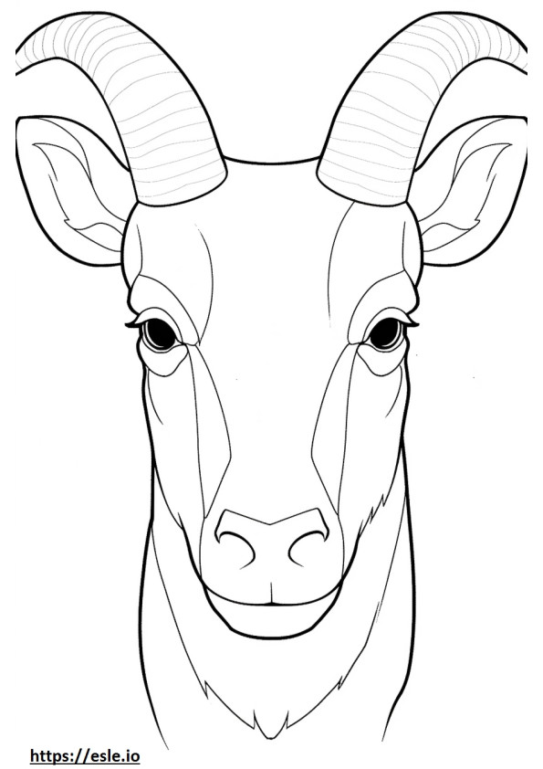 Bighorn Sheep face coloring page