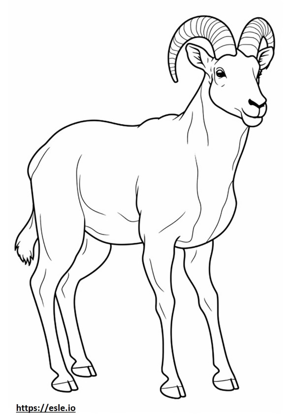 Bighorn Sheep full body coloring page