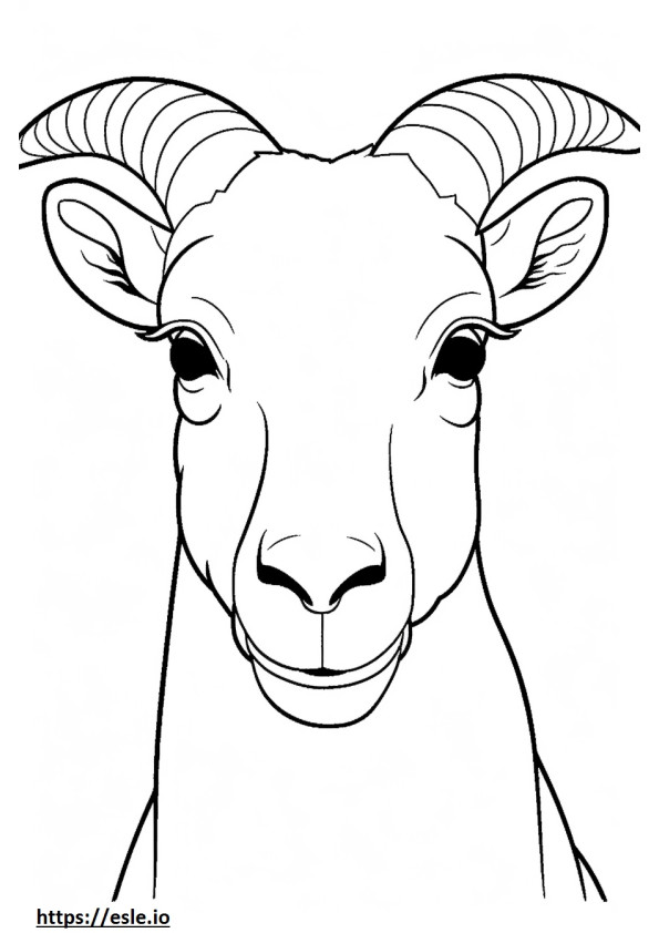 Cara de ovelha selvagem para colorir
