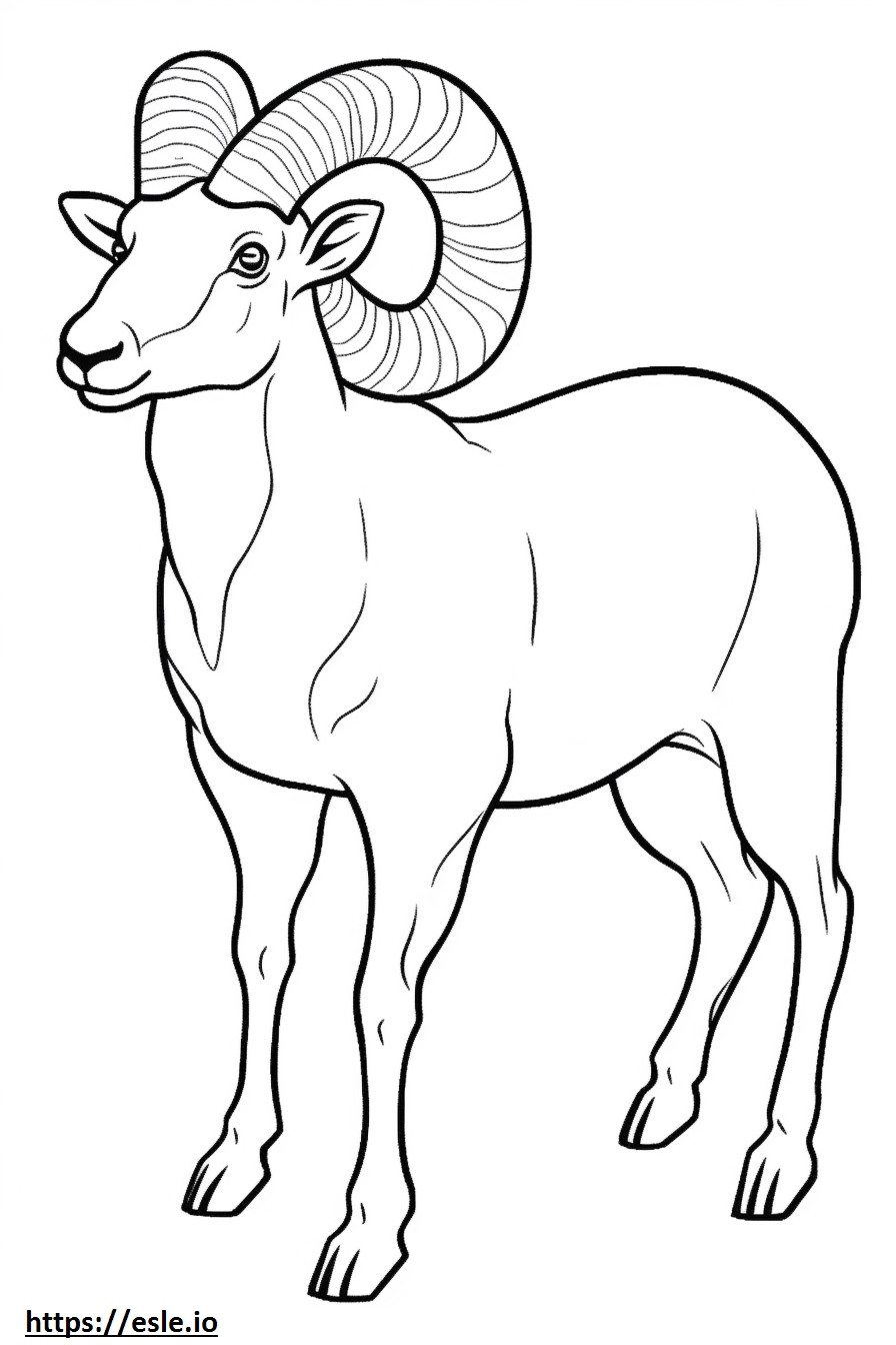 Bighorn Sheep full body coloring page