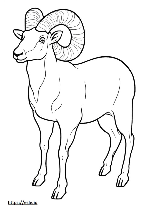 Bighorn Sheep koko vartalo värityskuva