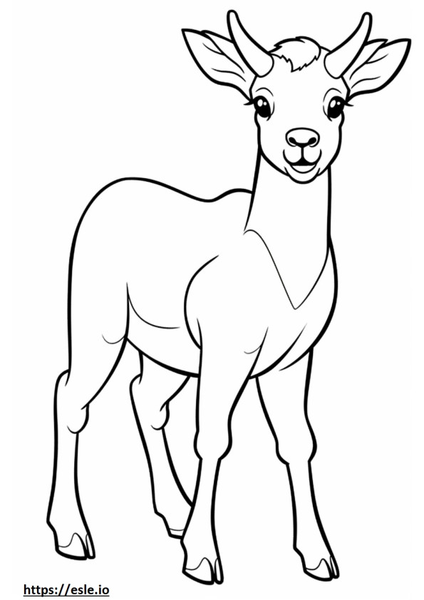 Cucciolo di pecora bighorn da colorare