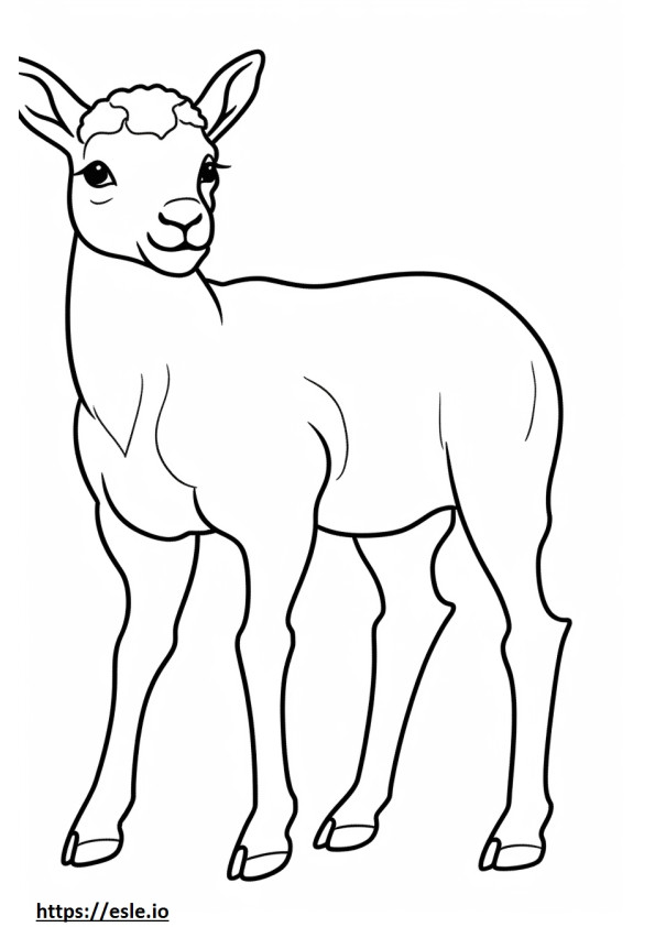 Cucciolo di pecora bighorn da colorare