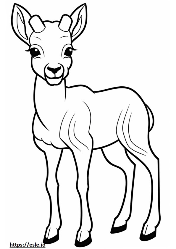 Bighorn Sheep baby coloring page