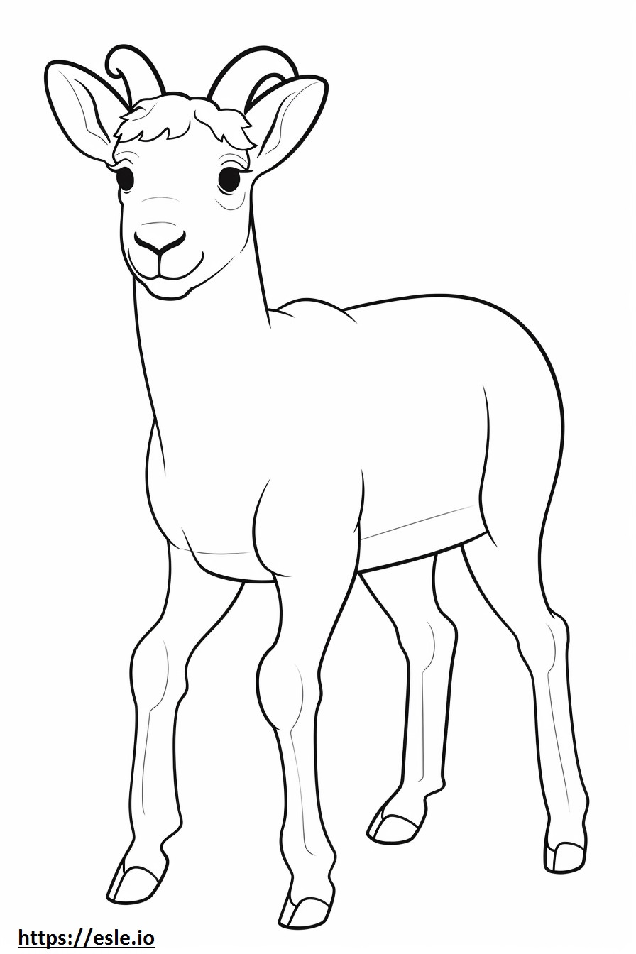 Bighorn Sheep cute coloring page
