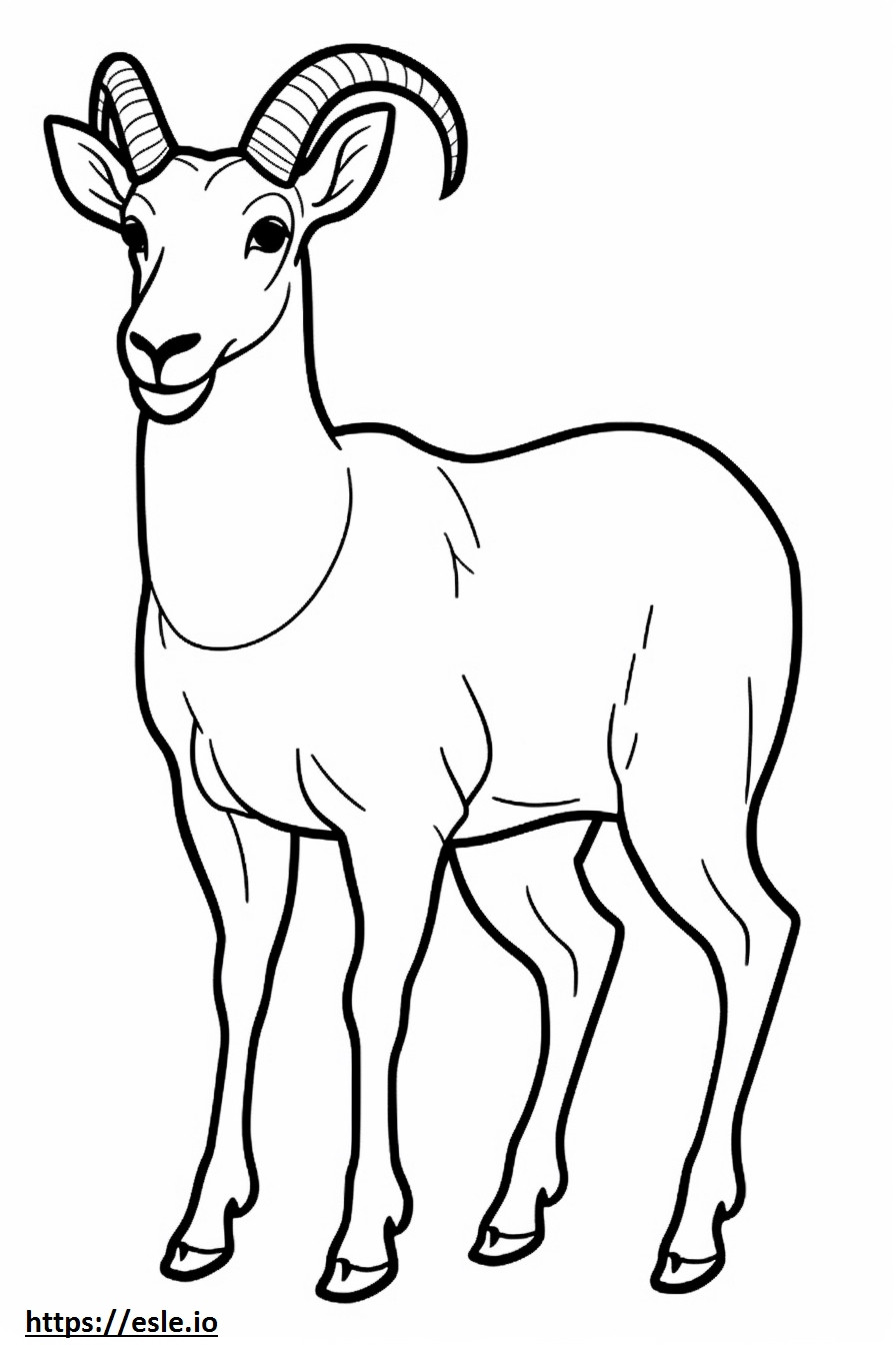 Bighorn Sheep Friendly coloring page
