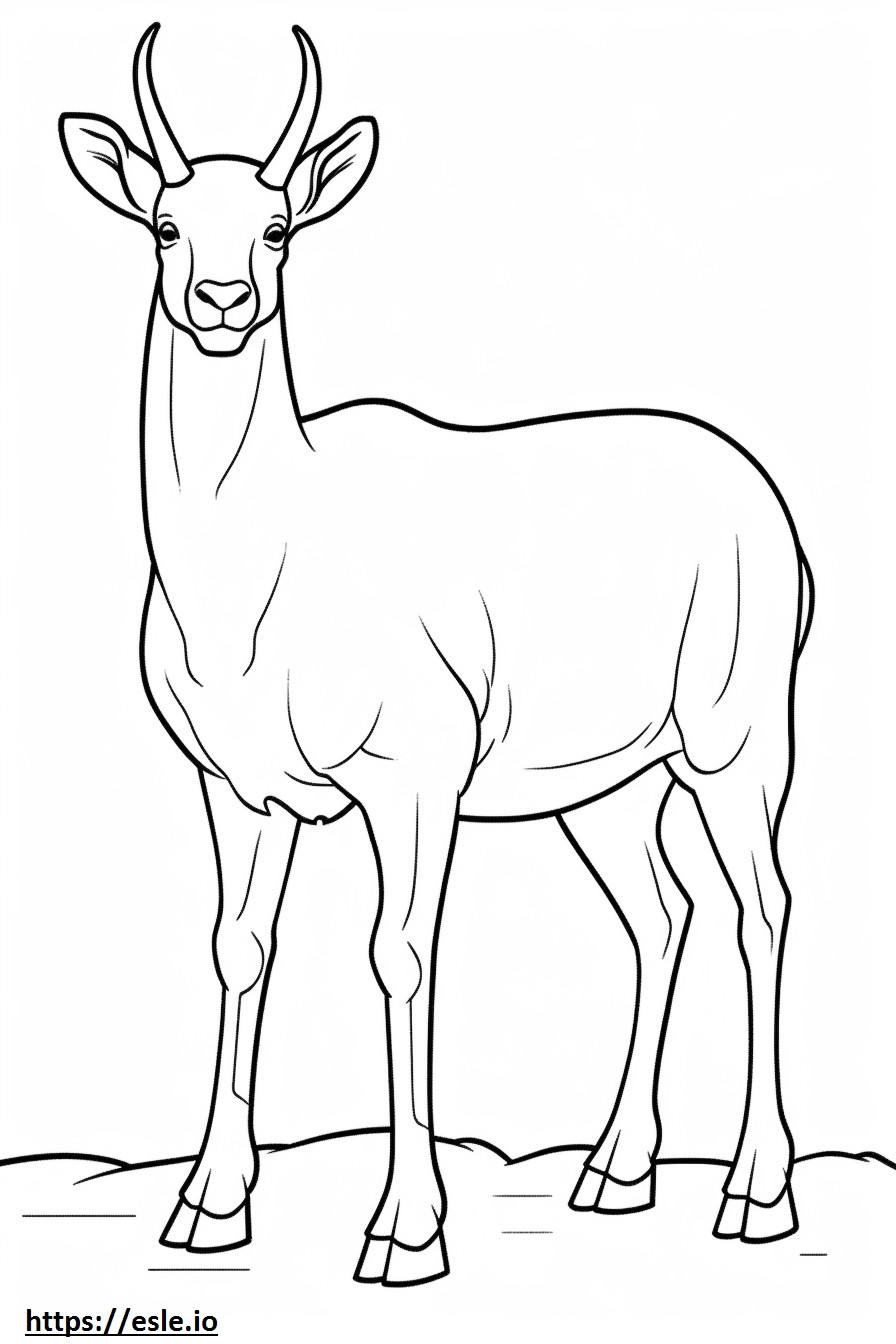 Bighorn Sheep Friendly coloring page