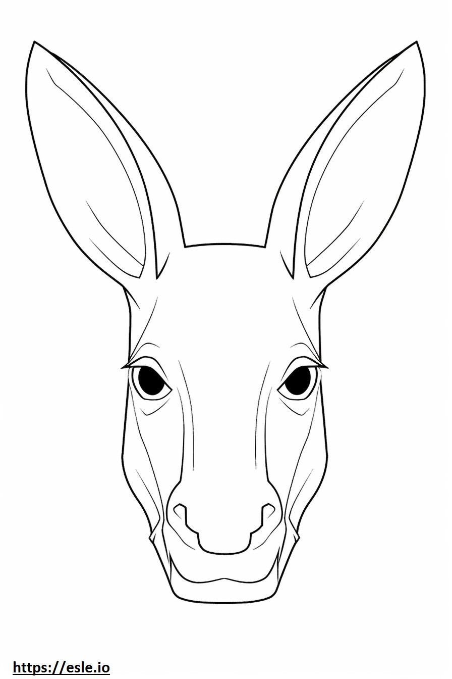 Bilby face coloring page