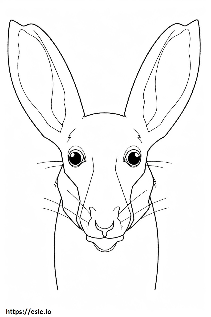 Bilby face coloring page