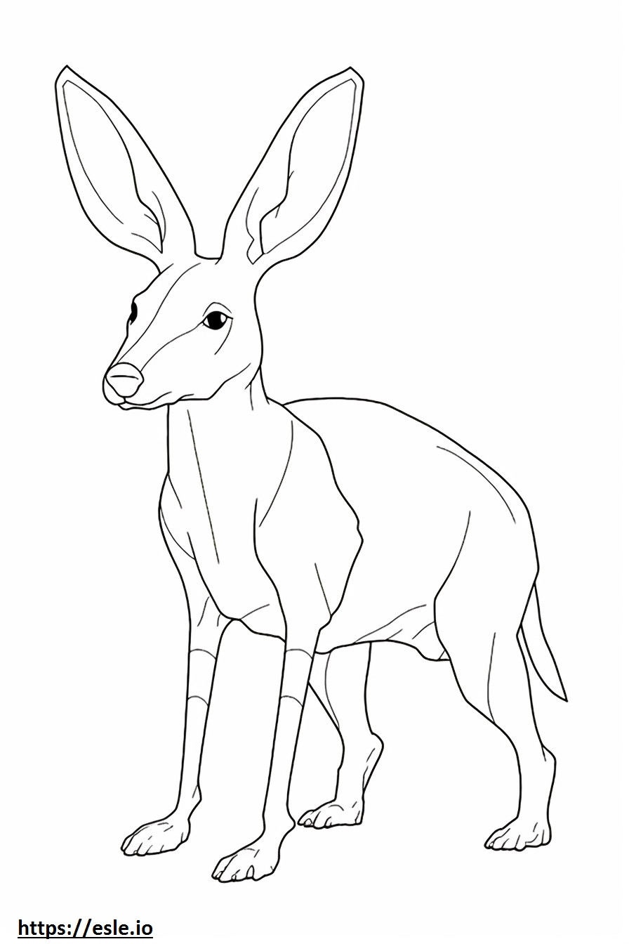 Bilby full body coloring page