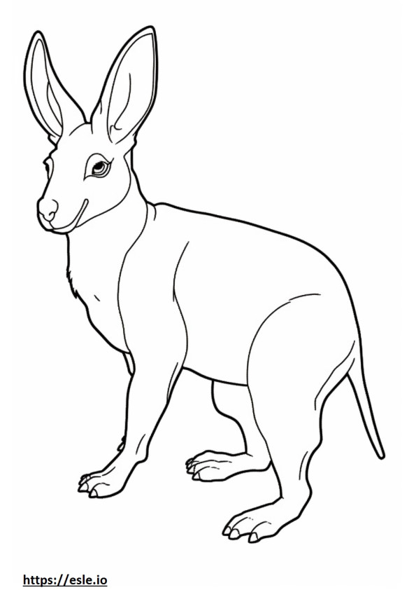 Bilby baby coloring page