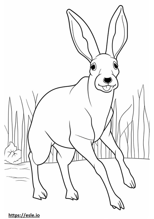 Bilby Playing coloring page