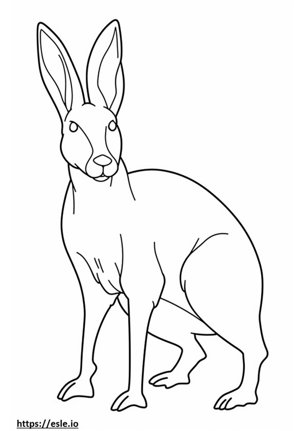 Bilby Friendly coloring page