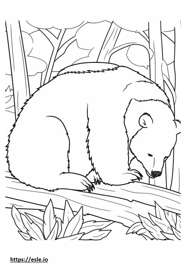 Binturong Sleeping coloring page