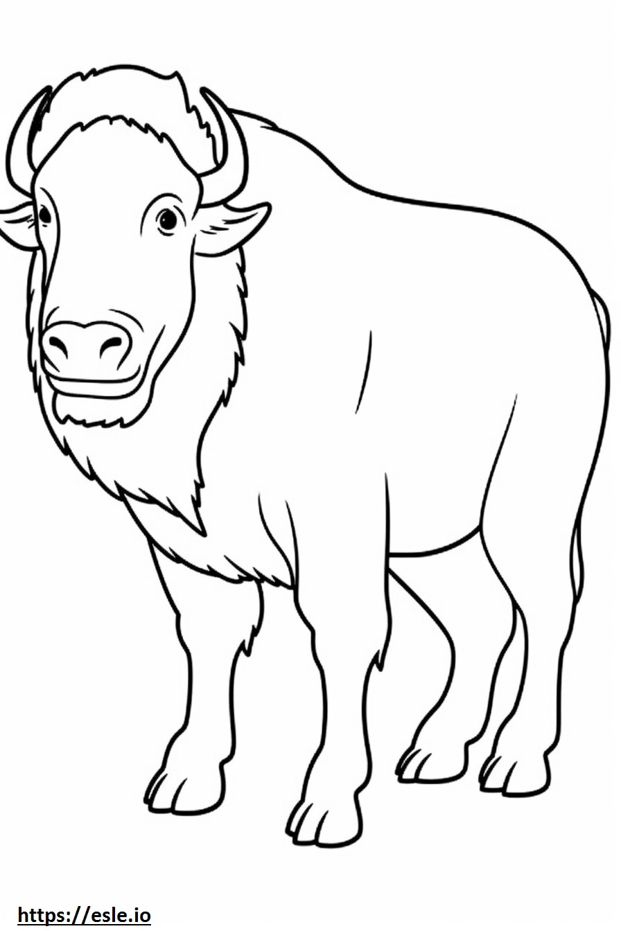 Bison full body coloring page
